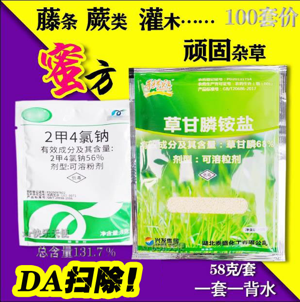 80%二甲2甲草甘除草剂节节笔筒草