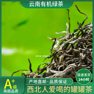 2025年有机绿茶特级银丝春尖云南生态绿茶明前高山茶思茅烘青茶叶