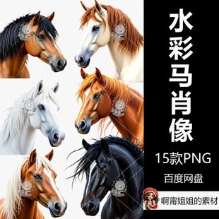 超高清马肖像剪贴画手绘水彩动物剪贴画PNG免抠设计素材新品精品
