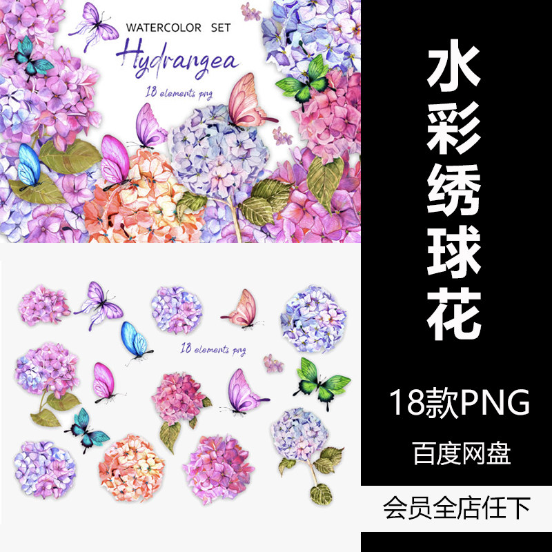手绘绣球花水彩插画简笔画美式花卉跨境电商png设计素材新品精品