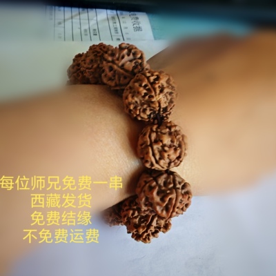 五瓣金刚菩提尼泊尔大金刚菩提手串爆肉纹菩提子原籽男女单圈文玩