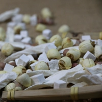 Произведено Ashi [Memagon Mecoction] Poria 实 阿 阿 阿 阿 膳 膳 阿 阿 50G*8 Пакет