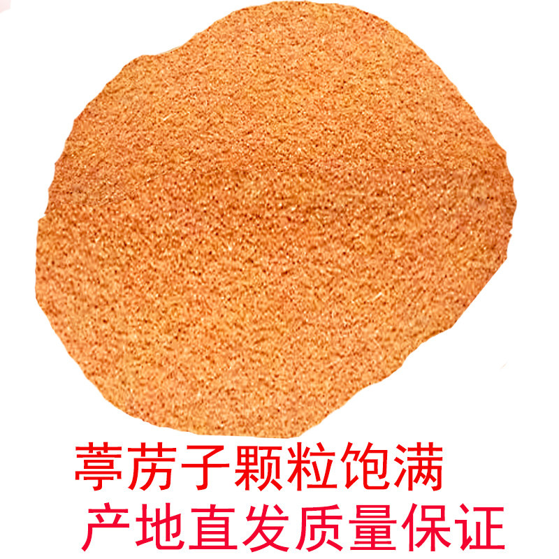 葶苈子播娘蒿籽太行山野生中药材细心挑杂精选发货粒粒饱满一斤重