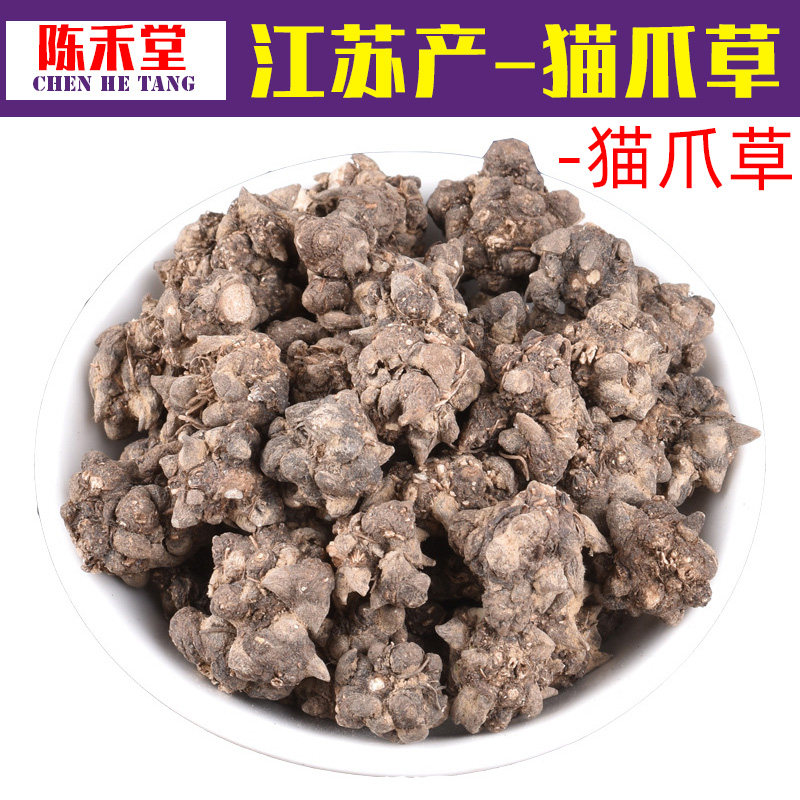 正品特级江苏产猫爪草药材中猫爪草野生新鲜猫抓草水洗猫爪草500g