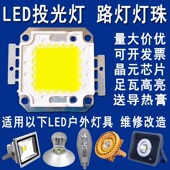 超亮30W50W100W集成LED灯珠led投光灯芯片路灯射灯光源配件30 36V