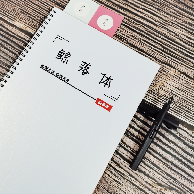 鲸落体字帖言情小说励志语录作文文案怼人语录女生速成钢笔练字帖