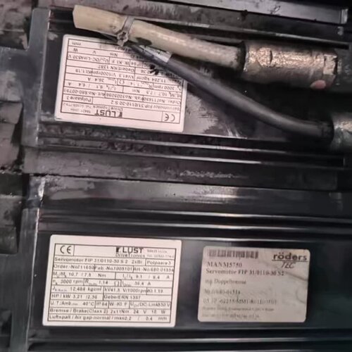 FIP 31/0110-30S2 2xB6 罗德斯电机，L--议价商品