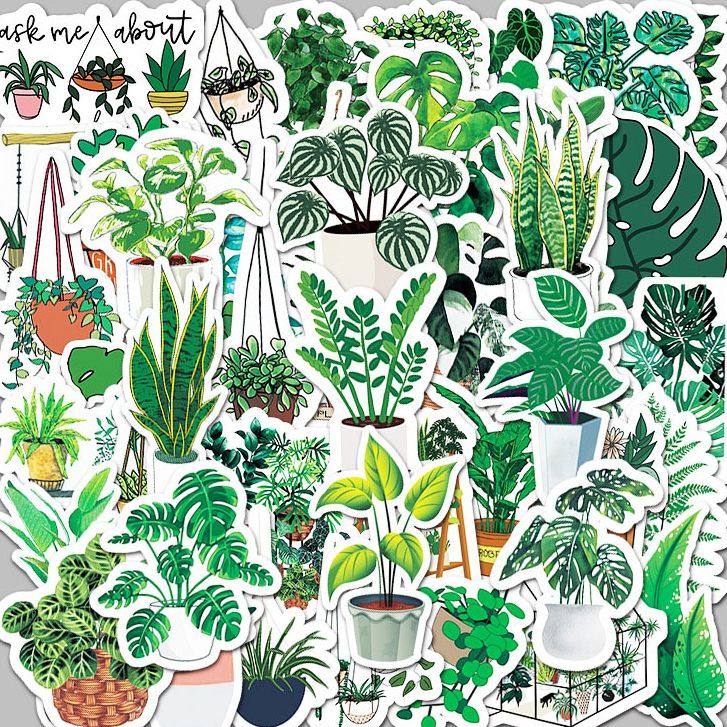 100张简约小清新绿植贴纸行李箱水杯ipad个性装饰贴画防水自粘