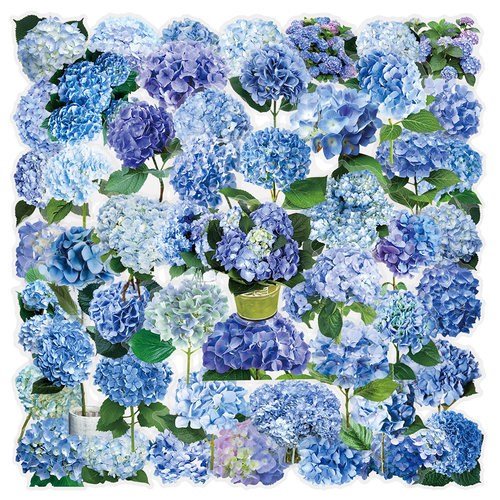 100张小清新绣球花PET贴纸ins风高颜值精美花卉花朵素材手帐贴画