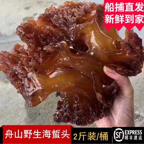 特级即食纯野生无沙海蜇头两头洞