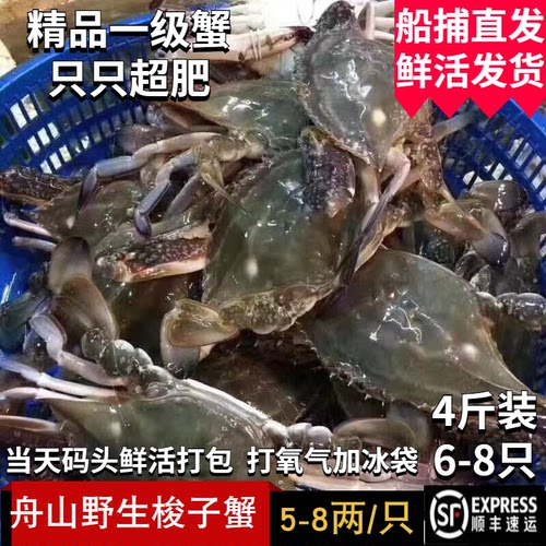 舟山野生梭子蟹新鲜鲜活大公蟹东海特级月岙白蟹螃蟹4斤包邮5-8两