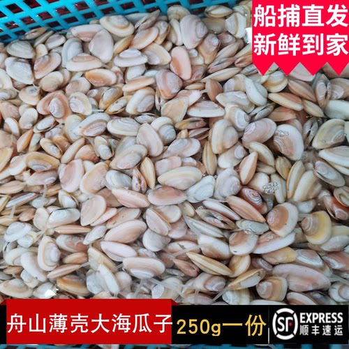 东海舟山野生无沙大海瓜子薄壳新鲜鲜活水产小蛤蜊白瓜子贝类250g