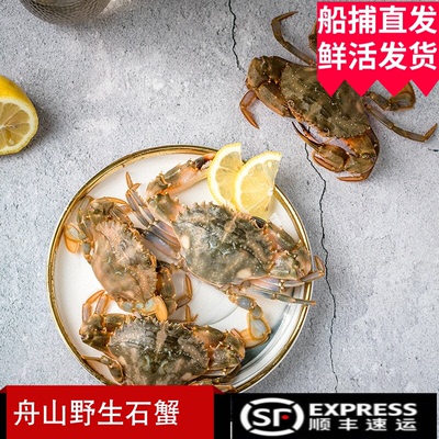 舟山野生石蟹鲜活青蟹石甲赤甲红石头海螃蟹飞蟹新鲜梭子蟹花盖蟹