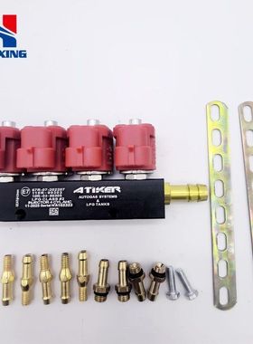 LPG/CNG汽车油改气改装ATIKER红色3欧姆喷轨燃气汽车配件