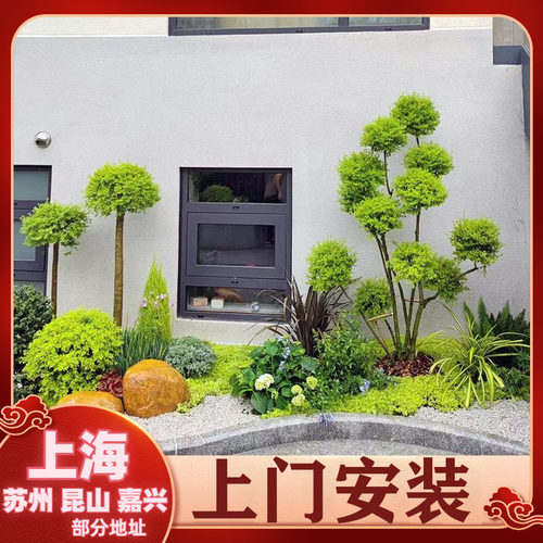 【可设计栽种】花镜植物组合套餐