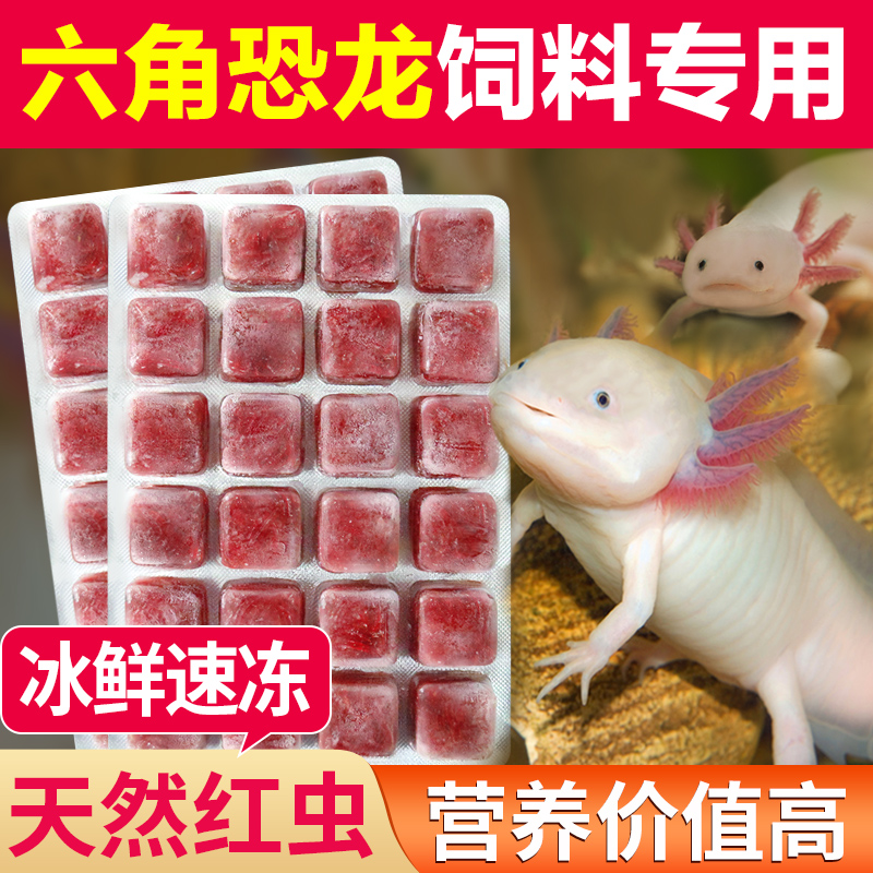 Bessn虫干中国六角恐龙鱼冰冻