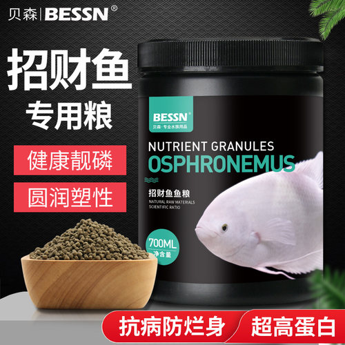 招财鱼专用饲料防烂身战船