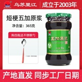 带刺五加同属乌苏里江短梗五加原浆五加膏浸膏安促神眠大瓶365g