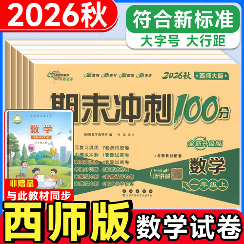 西师版数学试卷期末冲刺100分