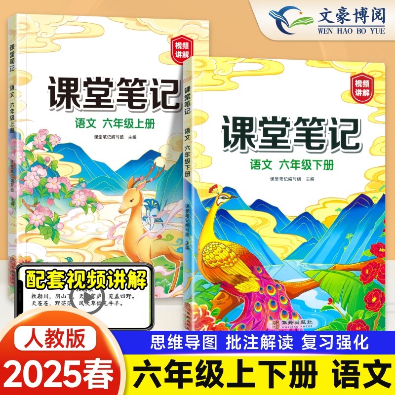 2025课堂笔记语文6年级人教版
