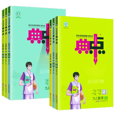 典中点九年级上册下册同步训练