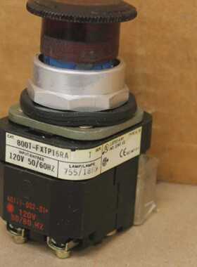 ALLENBRADLEY800TFXTP16RA服务器T红色推扣
