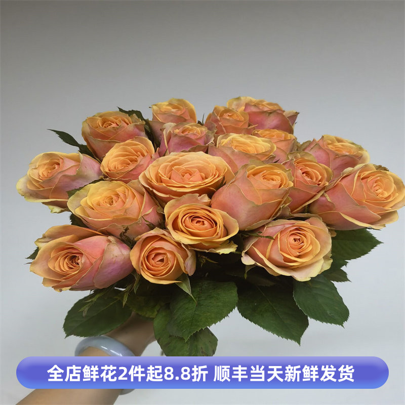 迪威娜复古玫瑰鲜花大朵鲜切月季花卉家用插花情人节生日同城速递