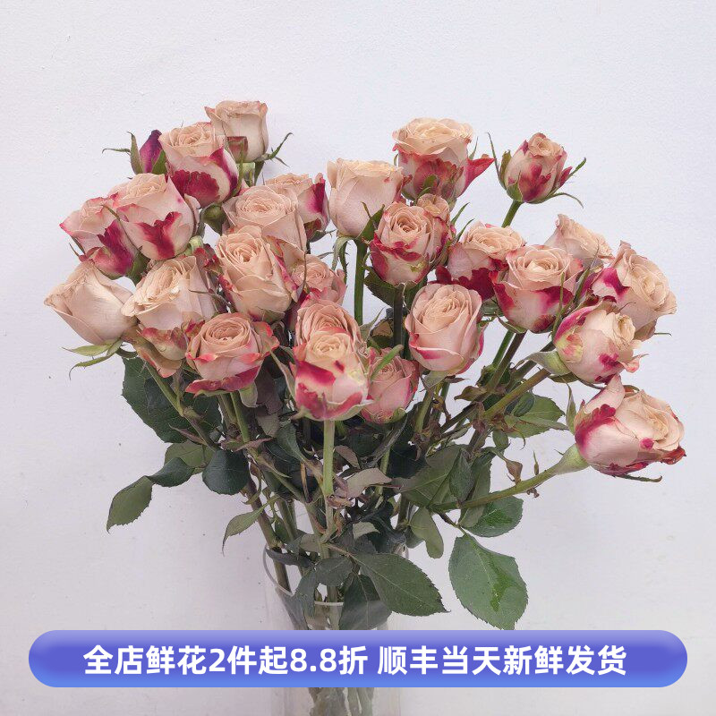 卡布奇诺蔷薇多头泡泡玫瑰复古月季花婚礼鲜花情人节北京同城速递
