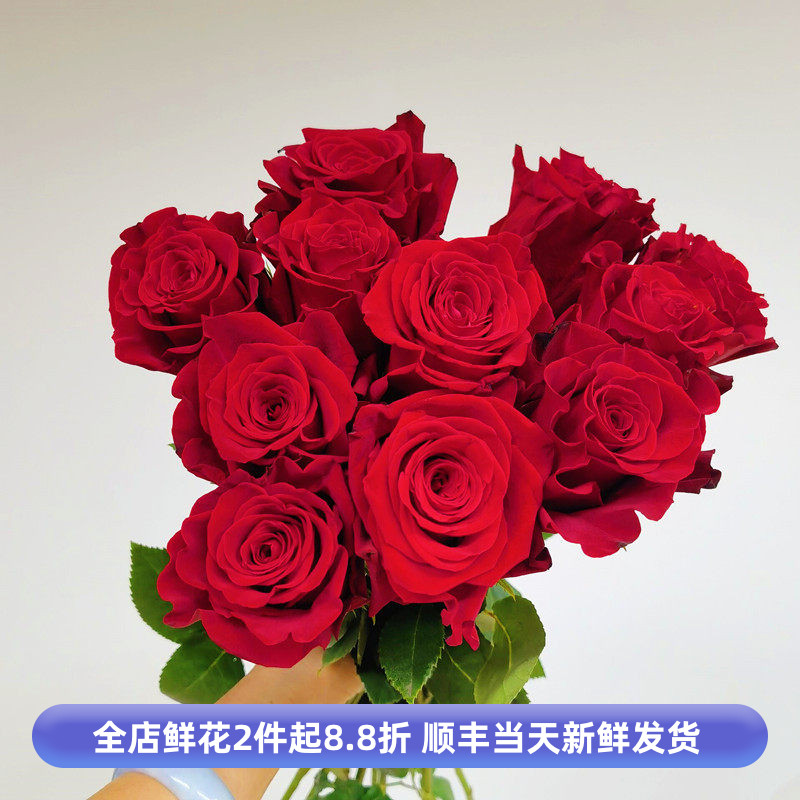 进口自由女神玫瑰巨型花头红色月季水养花情人节北京同城鲜花速递