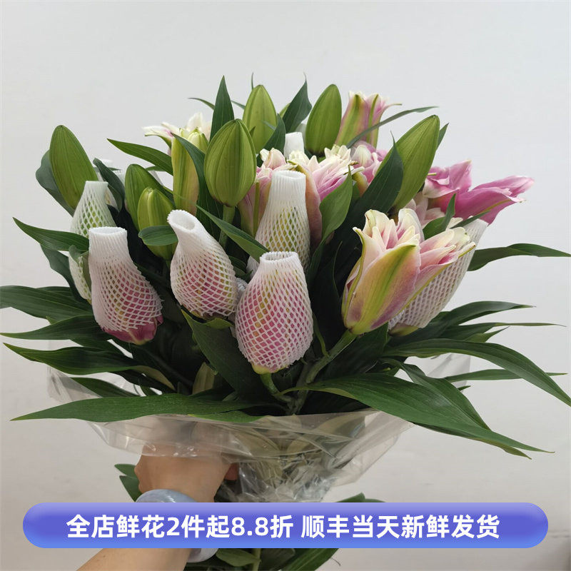 重瓣百合花多头香水百合办公室