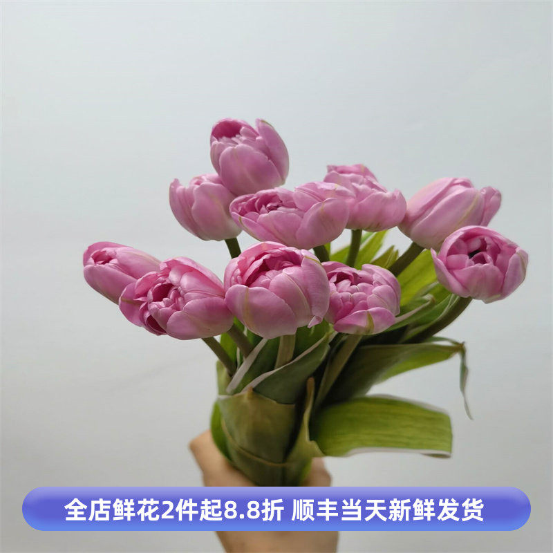 进口重瓣郁金香鲜花高级婚礼插花