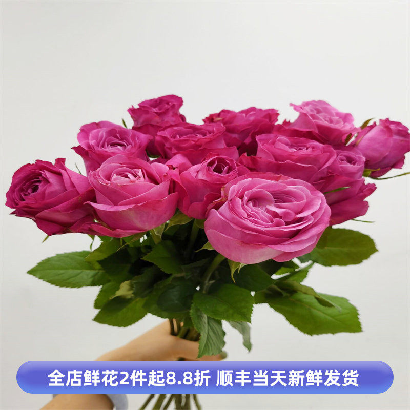 长相思玫瑰花大朵月季鲜切花情人节花束婚礼鲜花家庭水养花卉包邮