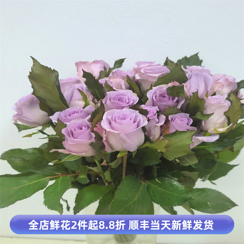 19紫玫瑰婚礼情人节鲜花玫瑰