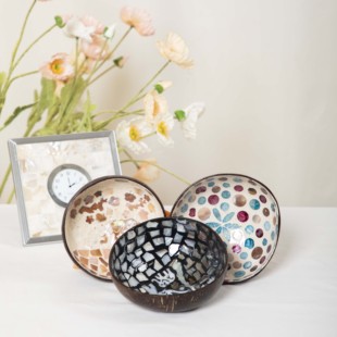 清仓福利椰子壳贝壳收纳盒碗水果收纳碗纯手工大号精美大碗茶具