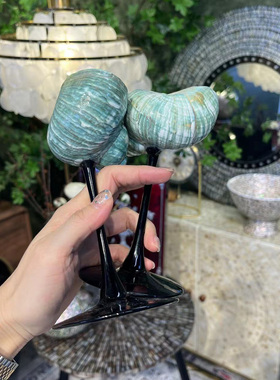 创意天然海螺贝壳高脚杯香槟杯小众海螺酒杯摆件