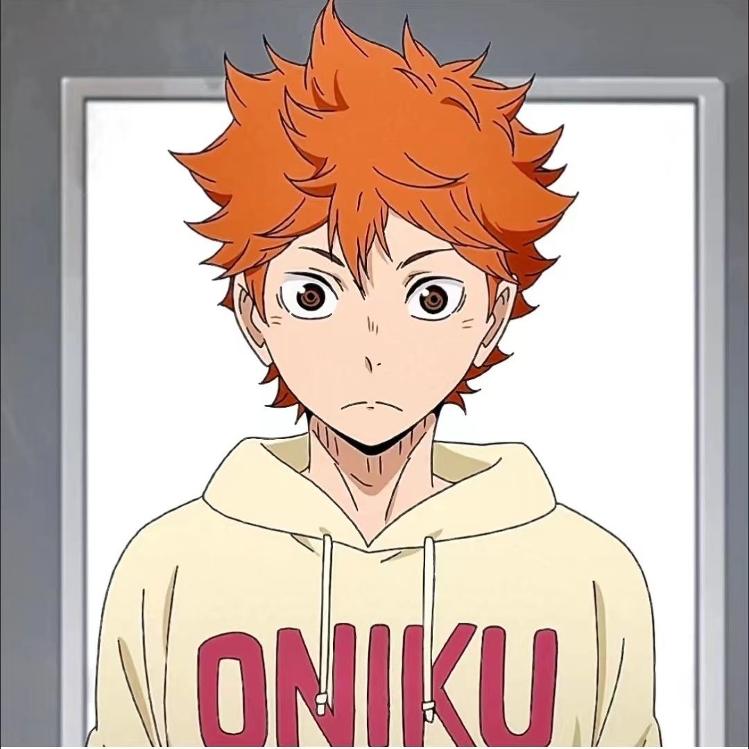 排球少年日向翔阳银狐绒重磅卫衣