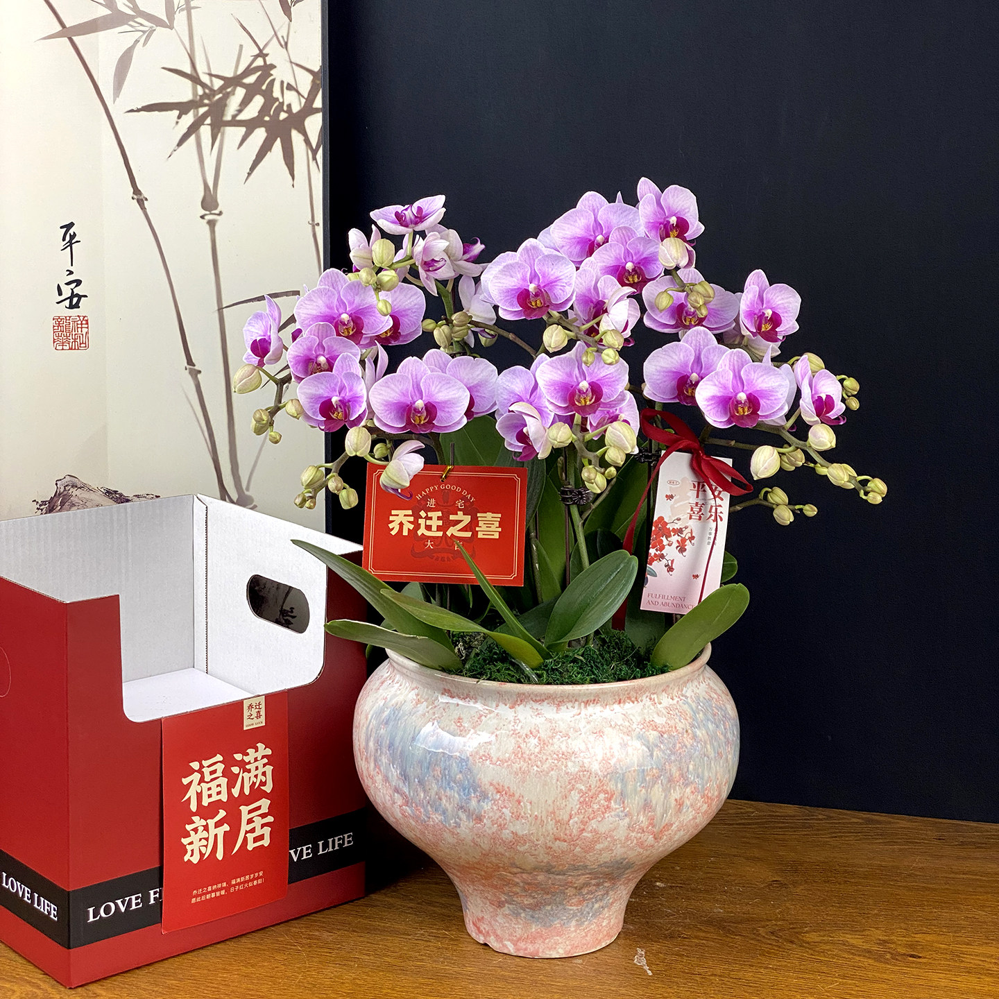 小花蝴蝶兰带花盆栽搬家乔迁礼物新店开业绿植礼品生日送长辈植物