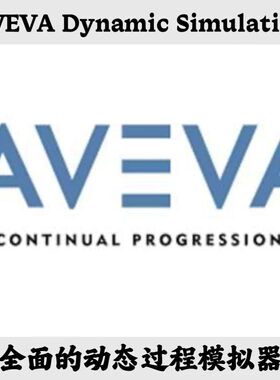 AVEVA Dynamic Simulation 2023.1 动态过程模拟器安装咨询指导