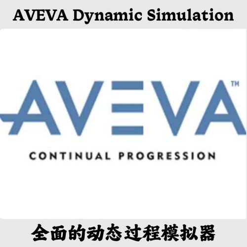 AVEVA Dynamic Simulation 2023.1 动态过程模拟器安装咨询指导