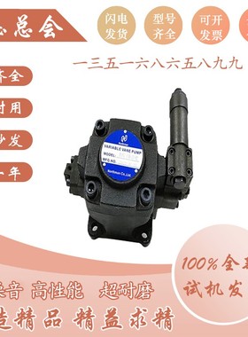 新款中压变量叶片泵HVPVC-F30-A2-A3-A4-A5-02-F现货