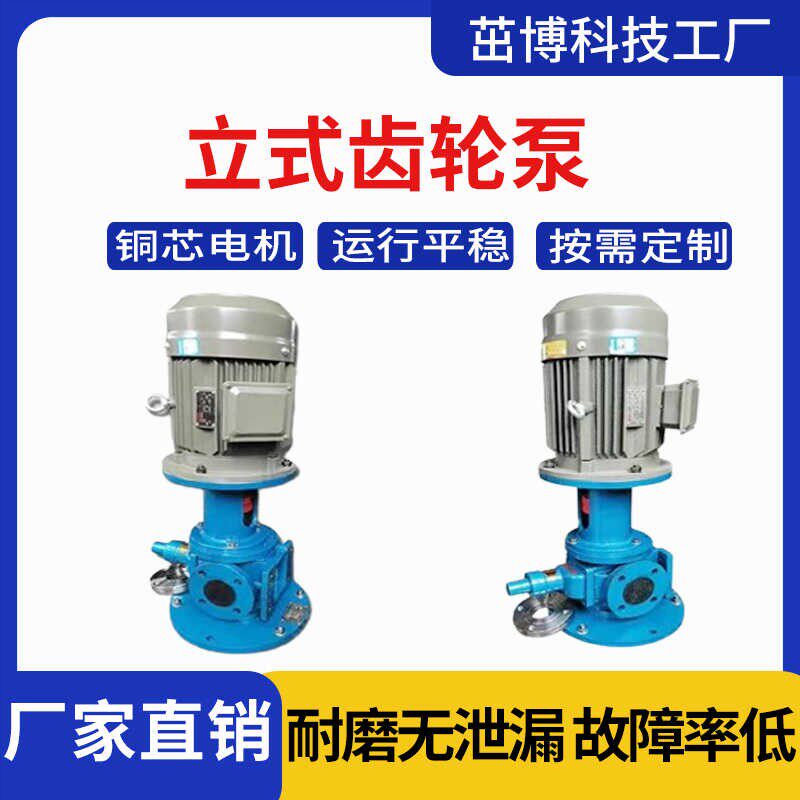 新款YCB立式圆弧齿轮泵船用输送燃油汽油输送泵低噪音泵大流现货 - 实物图