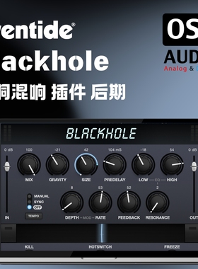 正版Eventide Blackhole 黑洞混响空间与氛围混响效果器插件