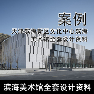 天津滨海新区文化中心滨海美术馆全套设计资料 JZ346