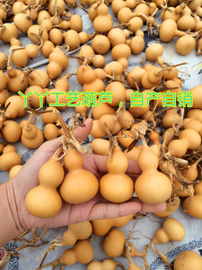 2022年新美国小葫芦手捻，手把件，文玩葫芦，草里金，铁包金，