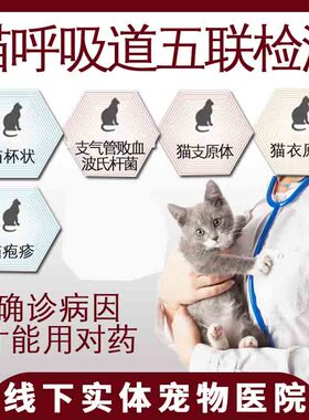 猫呼吸道五联PCR核酸检测疱疹杯状支原体衣原体病毒猫鼻支检测