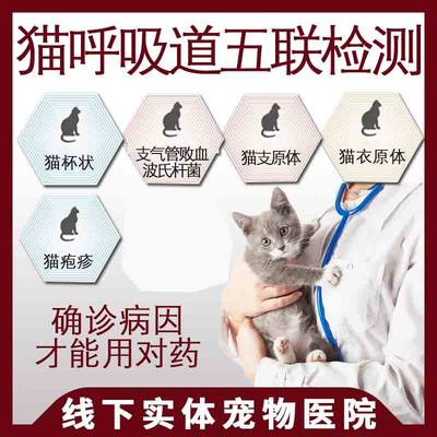 呼吸道疱疹支原体药敏猫