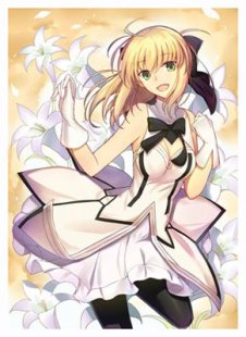 游戏王动漫妹套 FATE FGO SABER LILY 会场限定 卡套牌套 9DL
