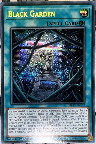 游戏王美英一刷MP25-EN079 SER黑色花园黑花园 RK2