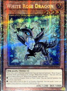 游戏王美英一刷MP25-EN038 STAR白蔷薇龙 RN2