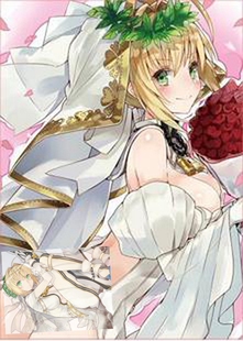 动漫妹套 FATE FGO 红SABER 尼禄 花嫁 会场限定 卡套 牌套 2CL